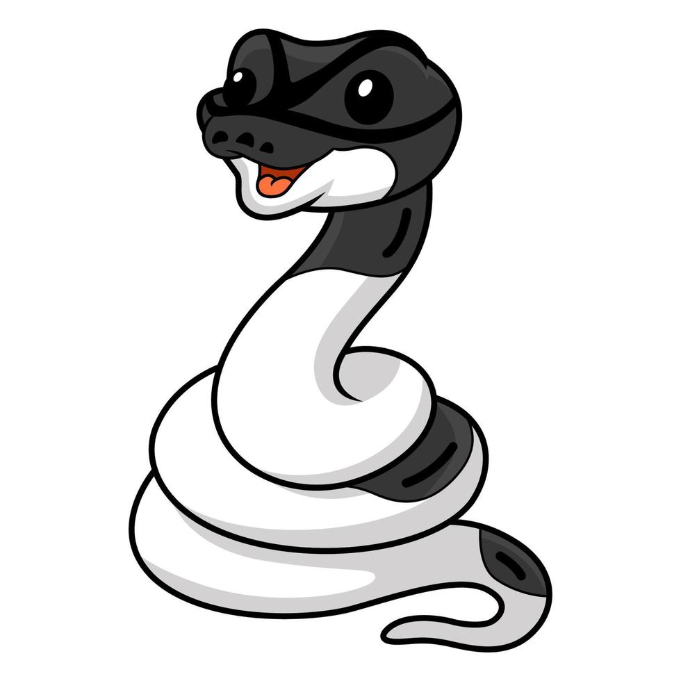 Cute panda pied ball python cartoon 22431708 Vector Art at Vecteezy