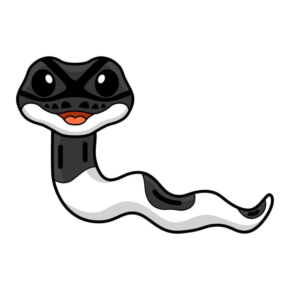 Cute panda pied ball python cartoon vector