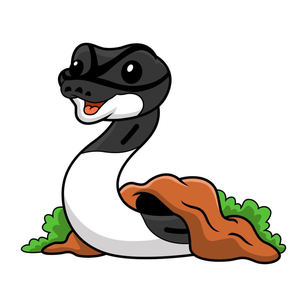 Cute panda pied ball python cartoon out from hole vector