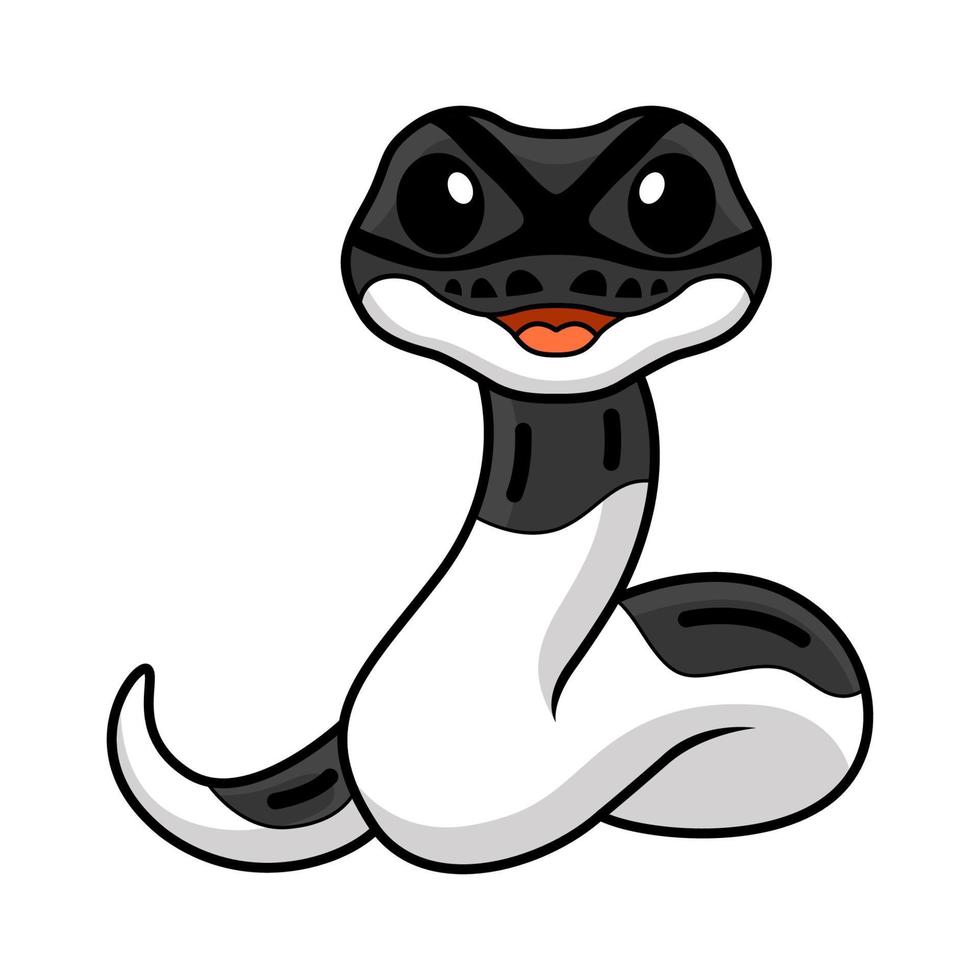 Cute panda pied ball python cartoon vector