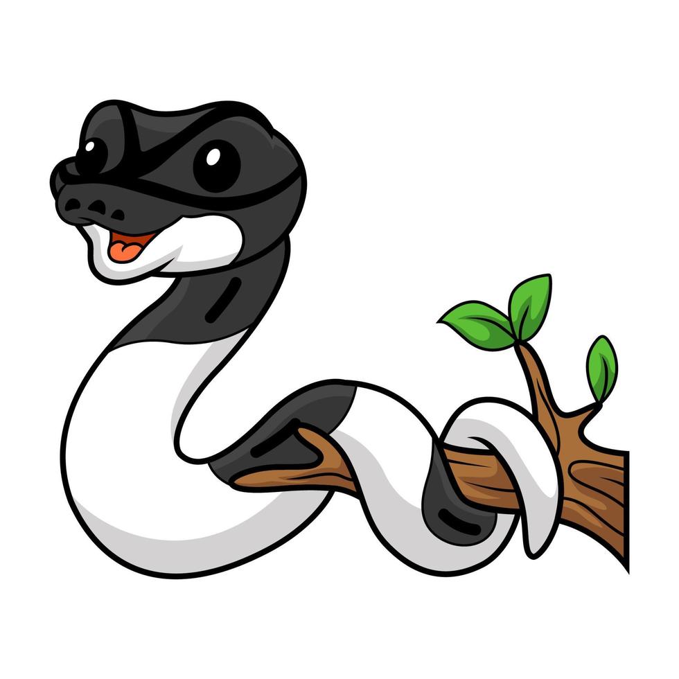 Cute panda pied ball python cartoon on tree branch vector