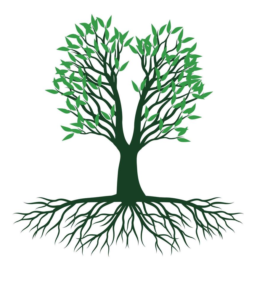 Green spring Tree with Roots. Vector Illustration.