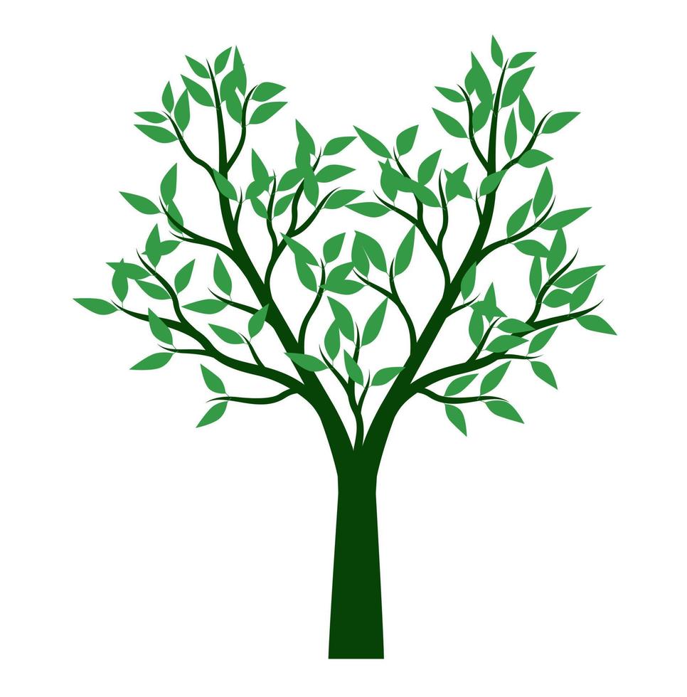 Green Tree with Leaves. Vector outline Illustration. Plant in Garden.