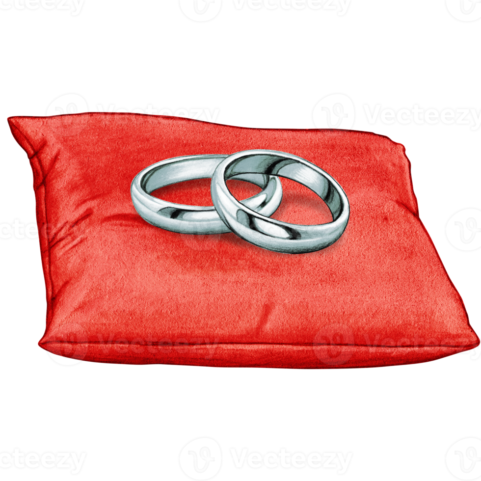 watercolor hand drawn wedding rings on cushion png