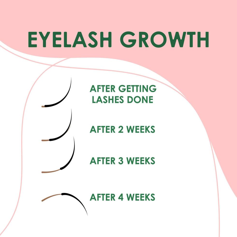 Eyelash extension. Eyelash growth. Improper eyelash extensions. Consequences of eyelash extensions. vector
