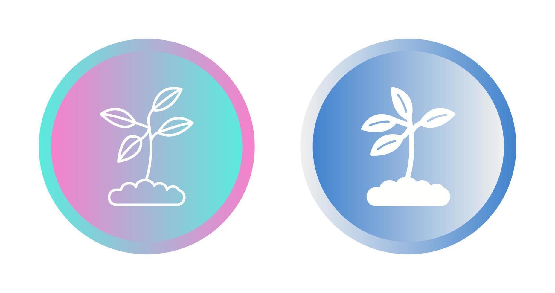 Plant Vector Icon