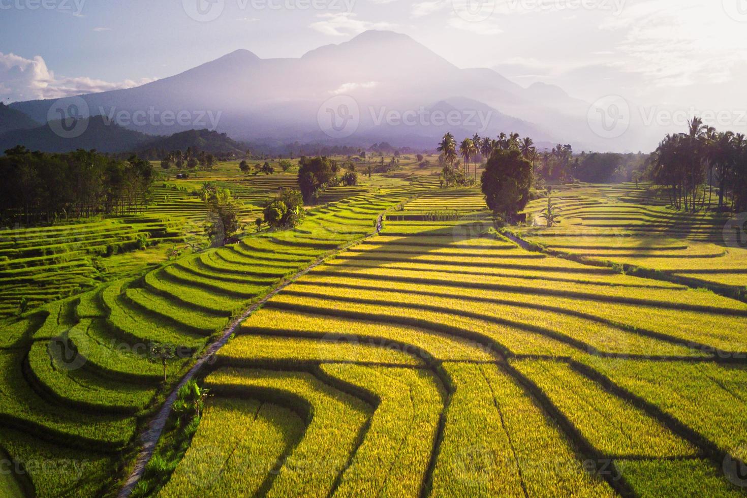 aerial view beautiful morning view from Indonesia about mountain and forest photo