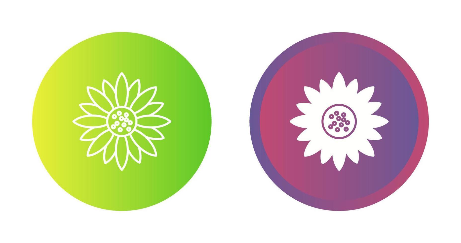 Sunflower Vector Icon