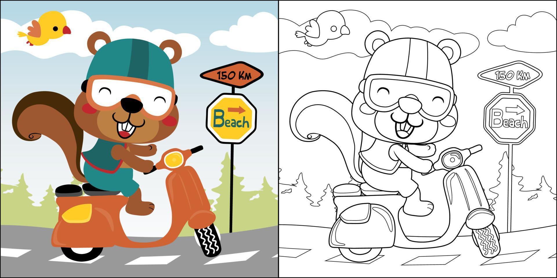 vector cartoon of cute squirrel riding scooter with little bird, coloring book or page