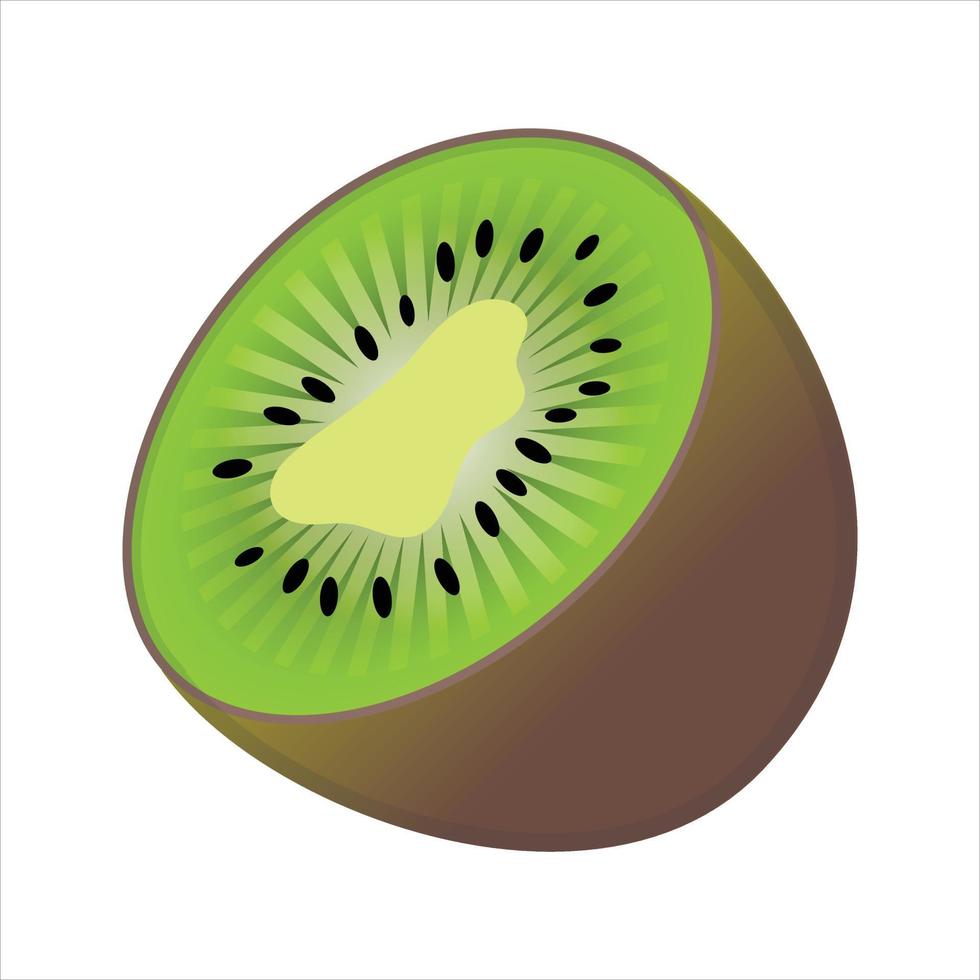 Kiwi fruit Illustration Vector