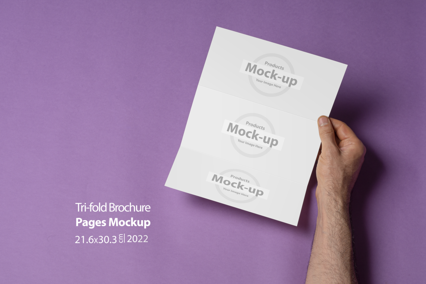 Male hands holding a tri-fold brochure with blank pages on purple background psd