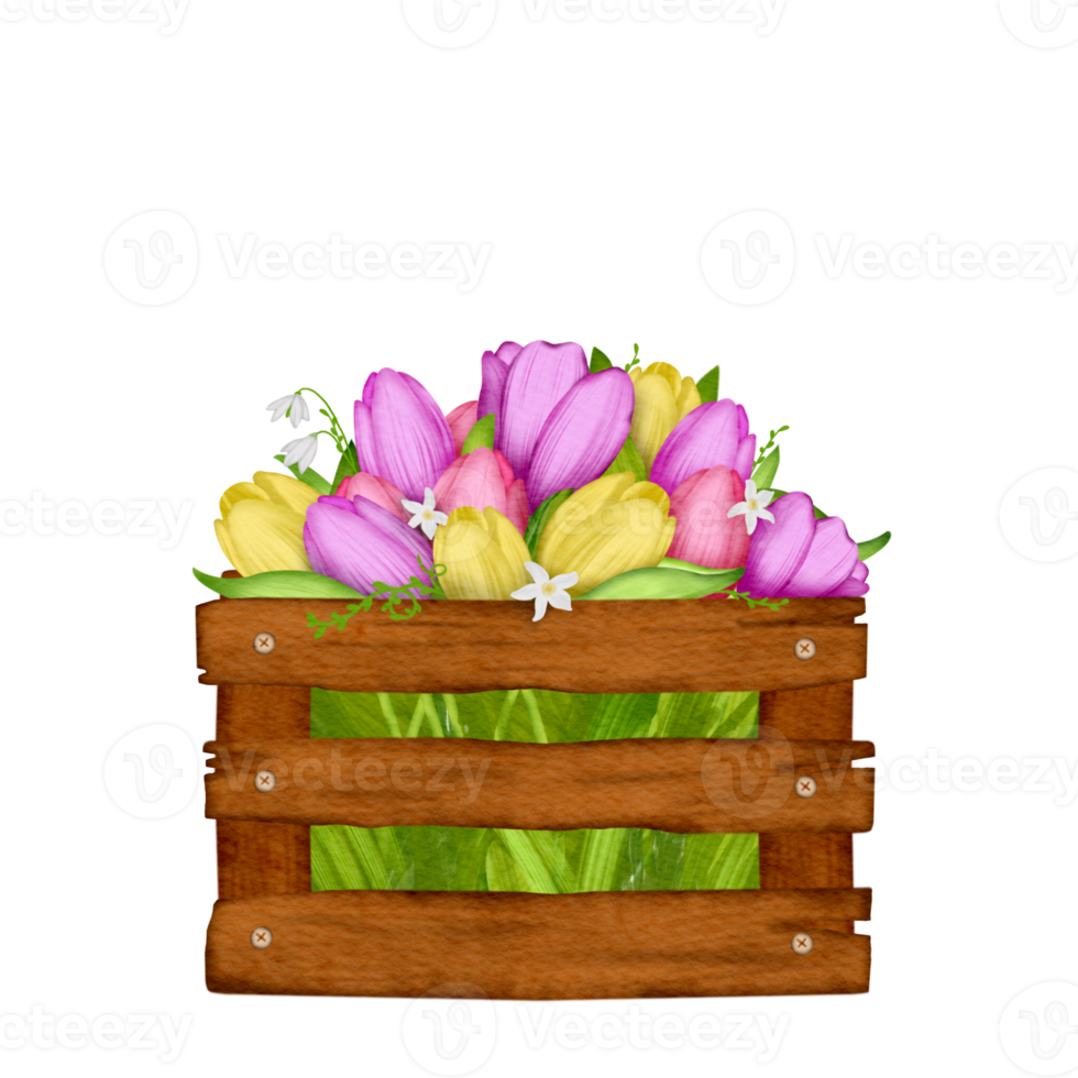 tulipán flor elemento png, Pascua de Resurrección acuarela clipart gratis png