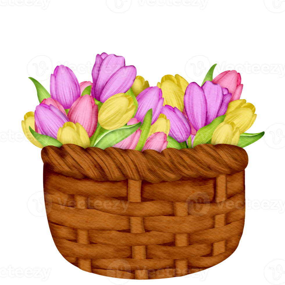 Tulip flower element png, Easter watercolor clipart Free PNG