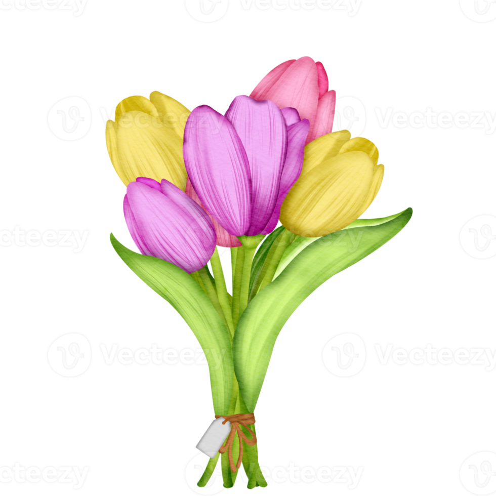 Tulip flower element png, Easter watercolor clipart Free PNG