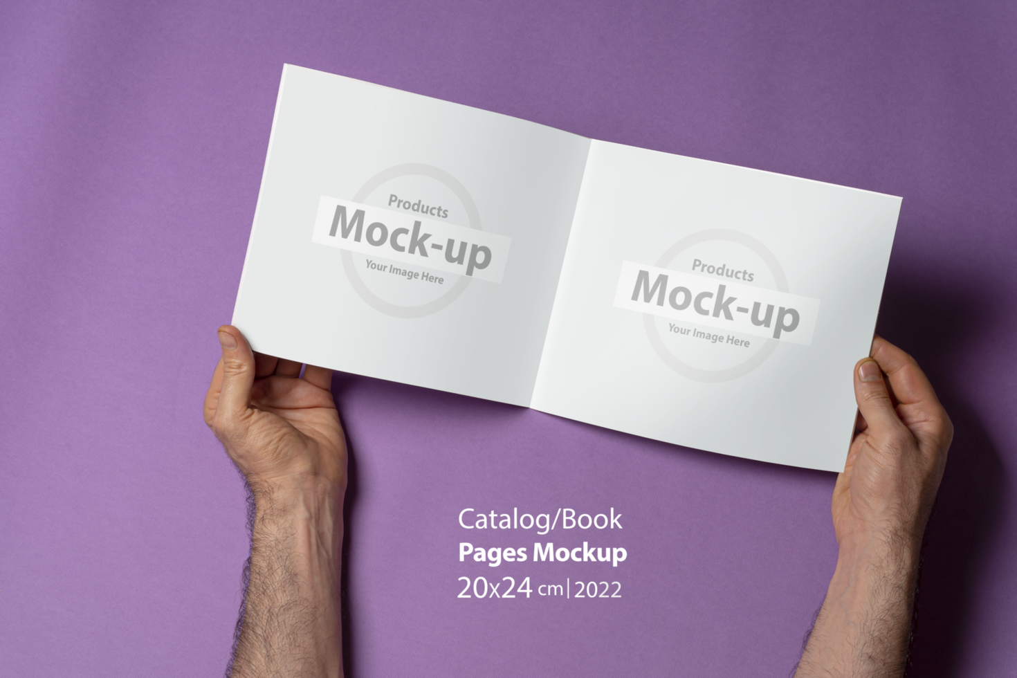 Male hands holding an opened catalog with blank pages on purple background psd