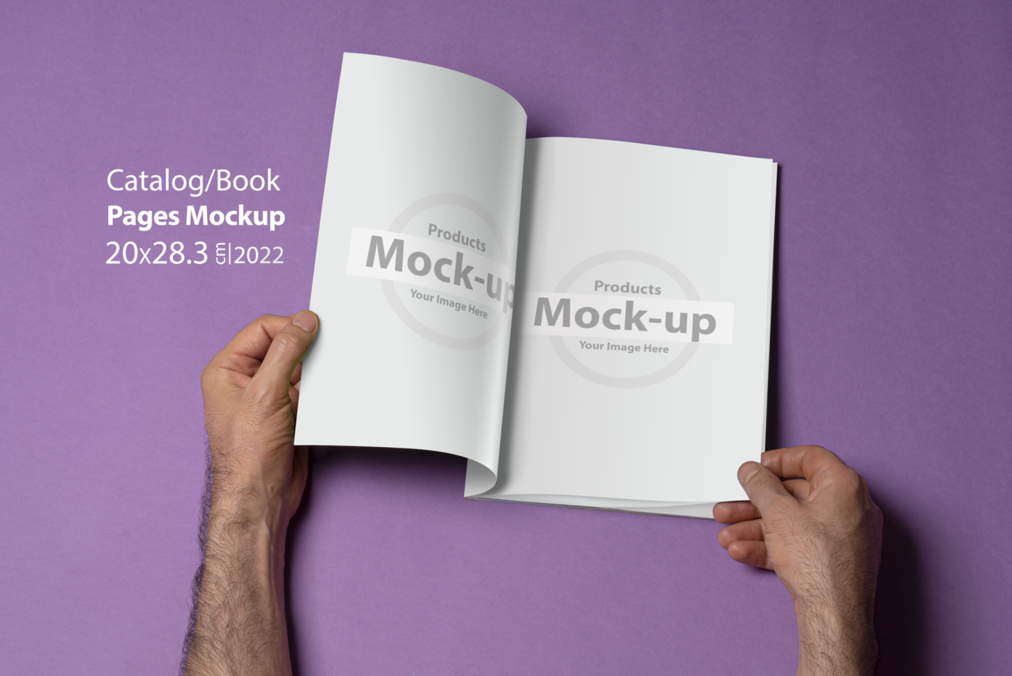 Male hands holding an opened book-catalog with blank pages on blue background psd