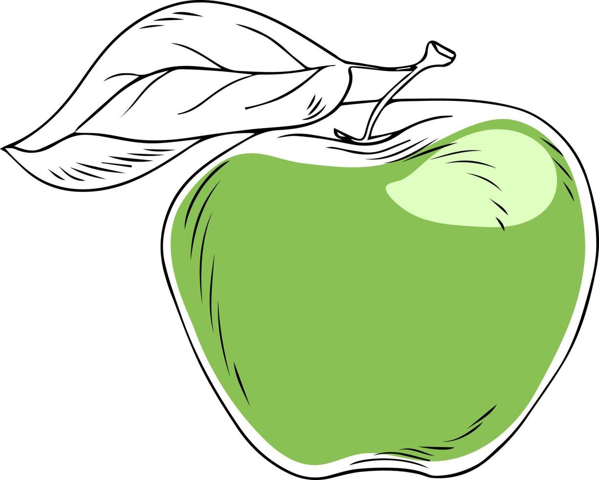 Lineart style vector green apple with leaf black outline on white background isolated