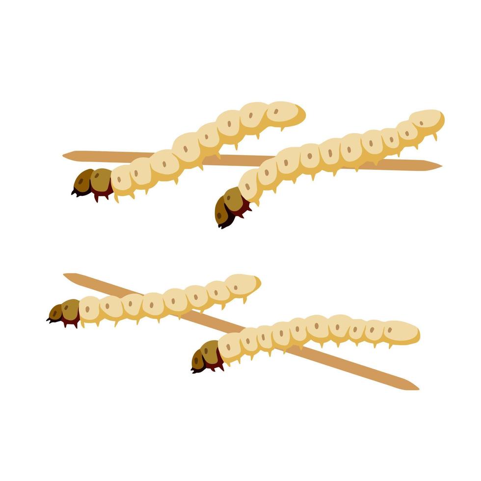 Edible larva. Eating caterpillar on skewer. Asian snack and street fast food. Source of insect protein. vector