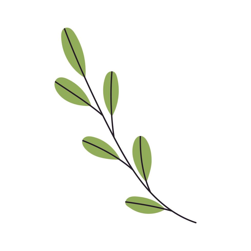 Abstract Twig with Leaves. Element for print, postcard and poster. Vector Hand Draw illustration