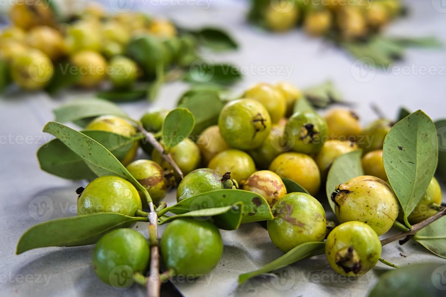 Chinese guava in victoria town market, Mahe Seychelles photo