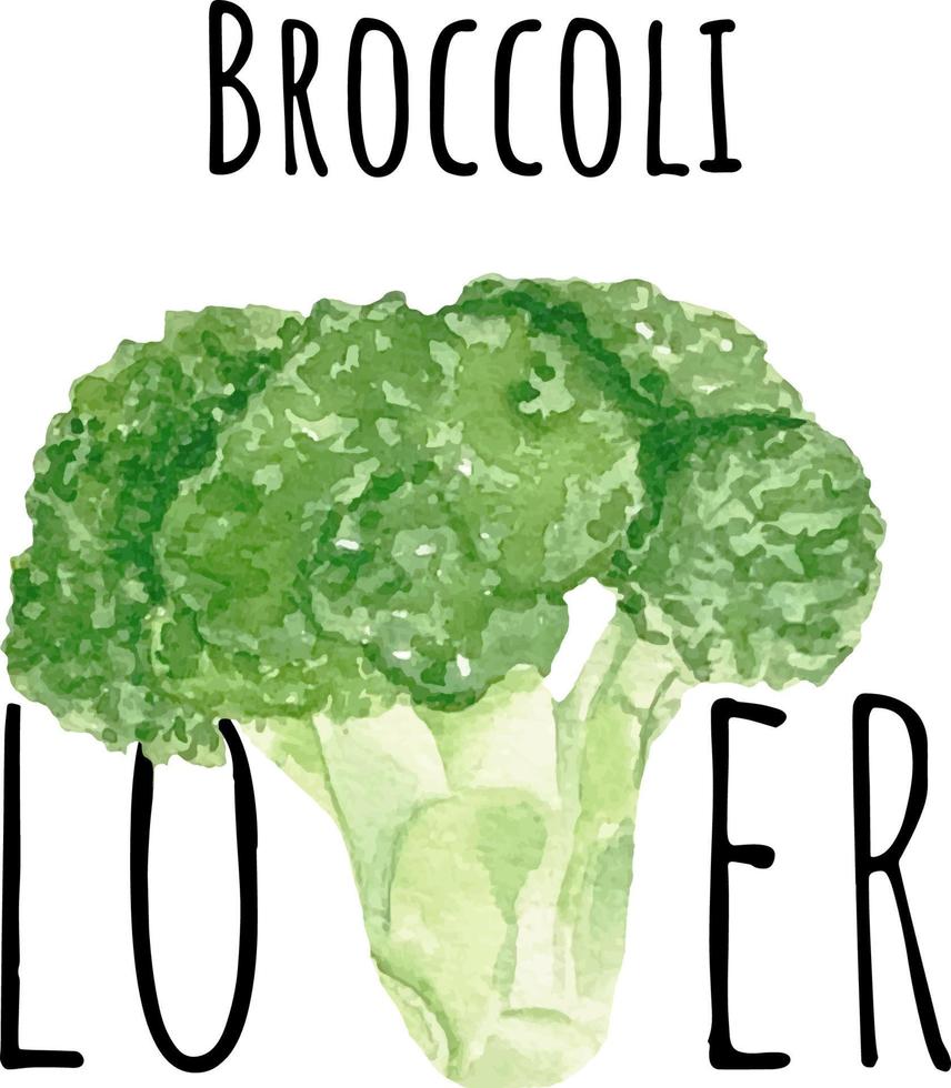 ilustración acuarela de brócoli verde. verduras crudas frescas. ilustración de amante de brócoli vector
