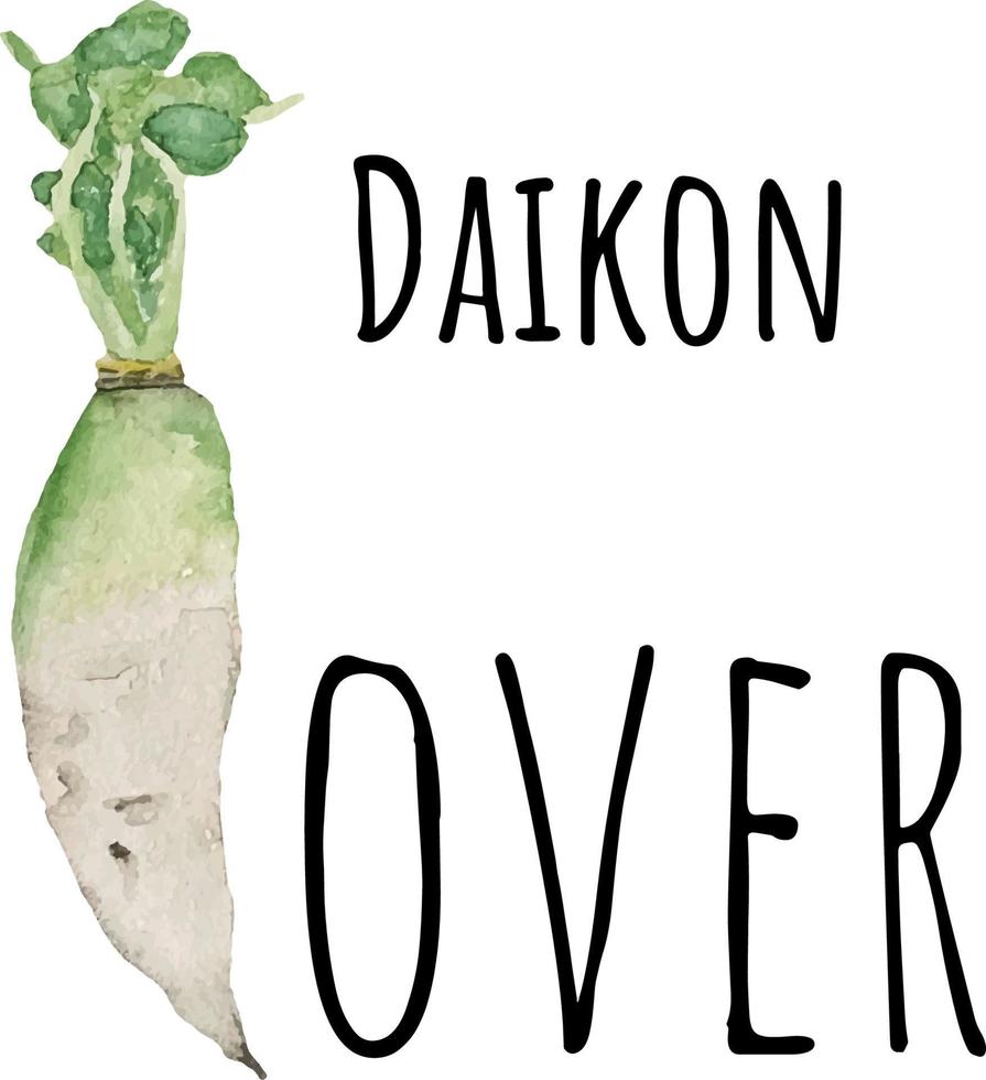 Watercolor illustration of daikon. Fresh raw vegetables. Daikon lover illustration vector