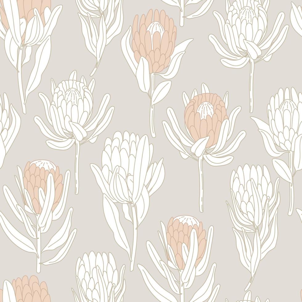 Pastel colors protea flowers seamless pattern. Hand drawn exotic floral background. Design for wrapping paper, fabric, home textile vector