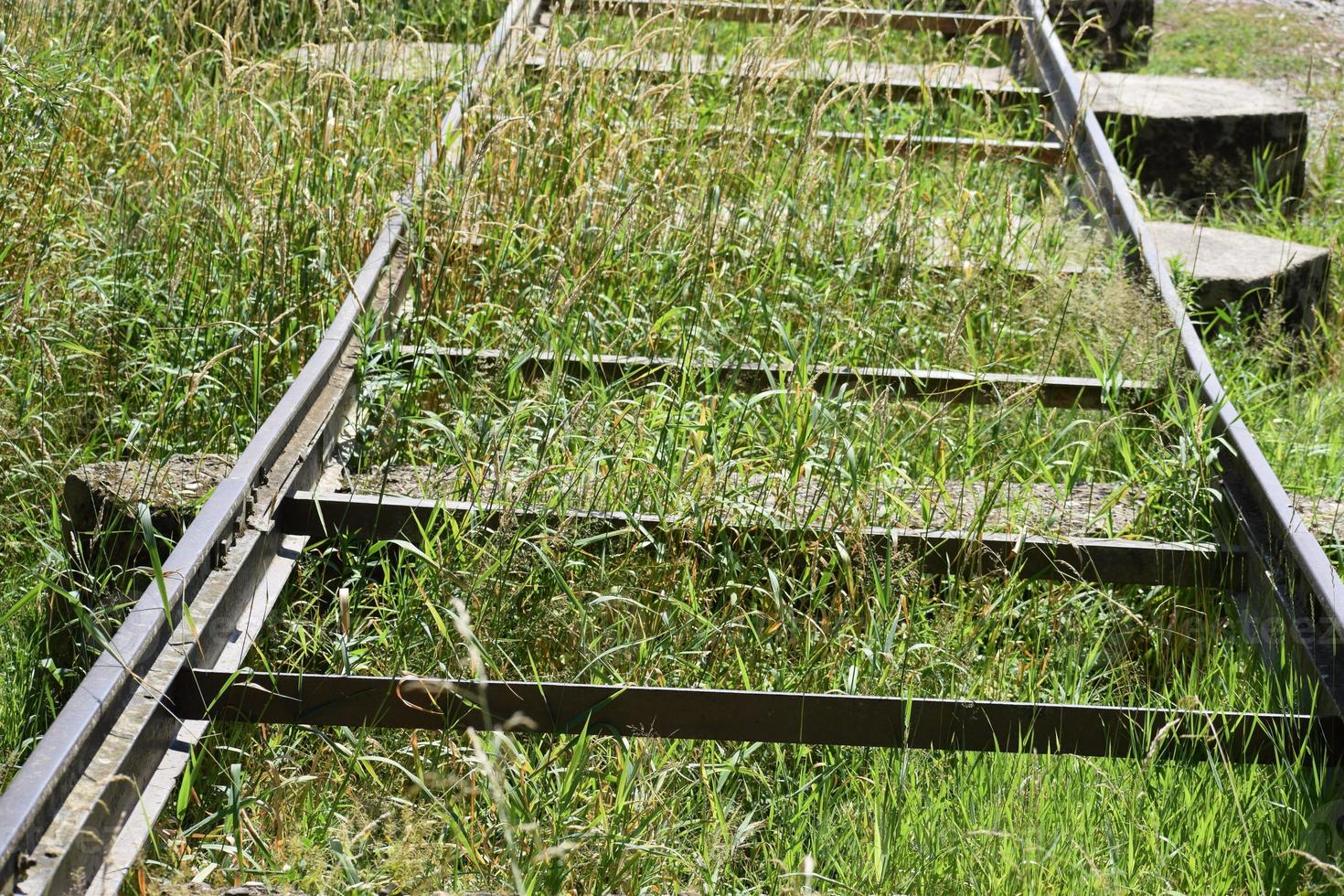 ferrocarril en césped foto