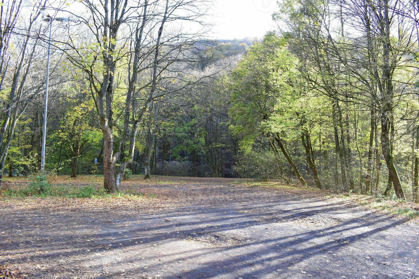 Forest Parking Lot in Autumn 22452284 Stock Photo at Vecteezy