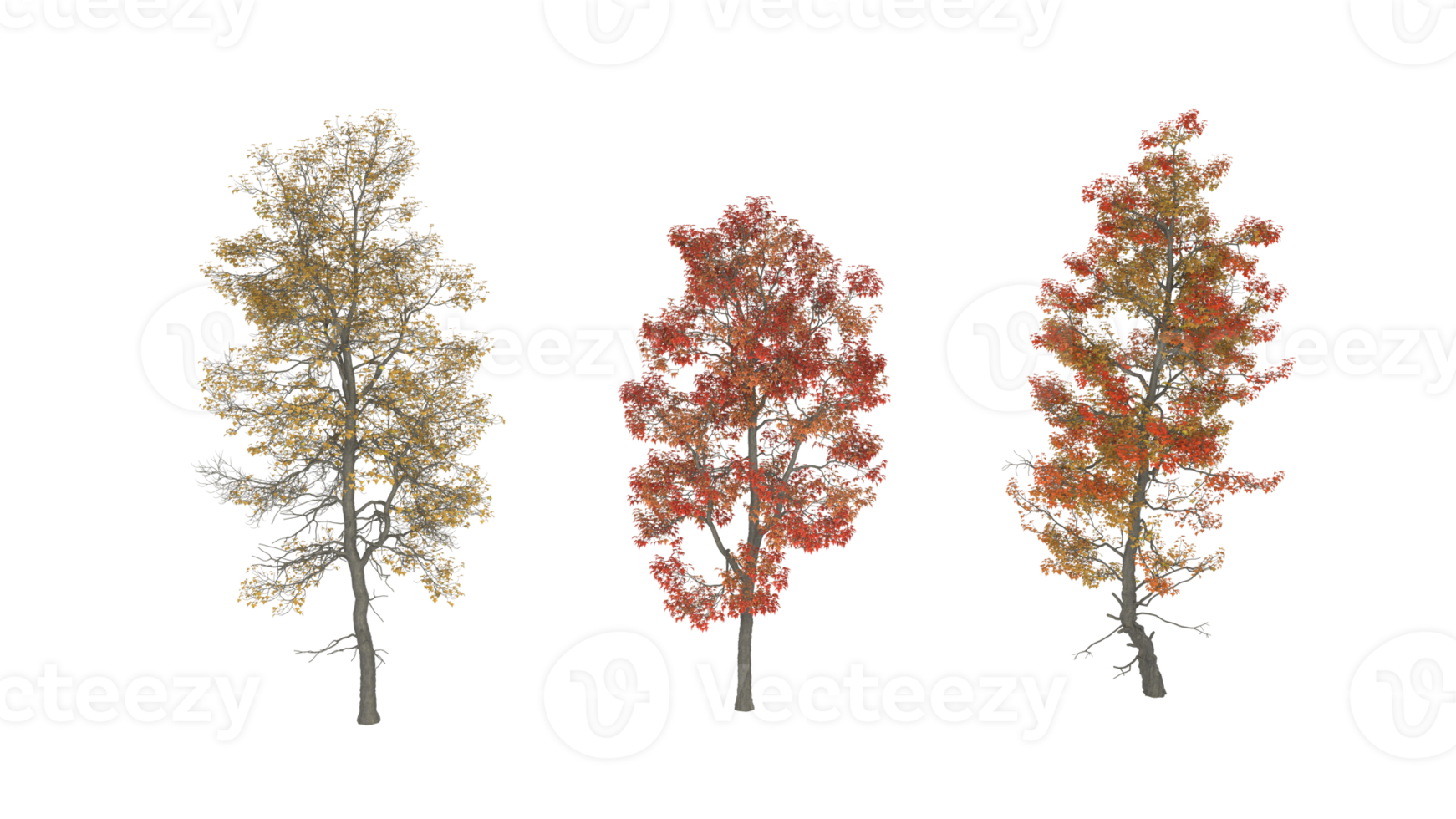 een groep van bomen met verschillend kleuren van herfst, 3d renderen png
