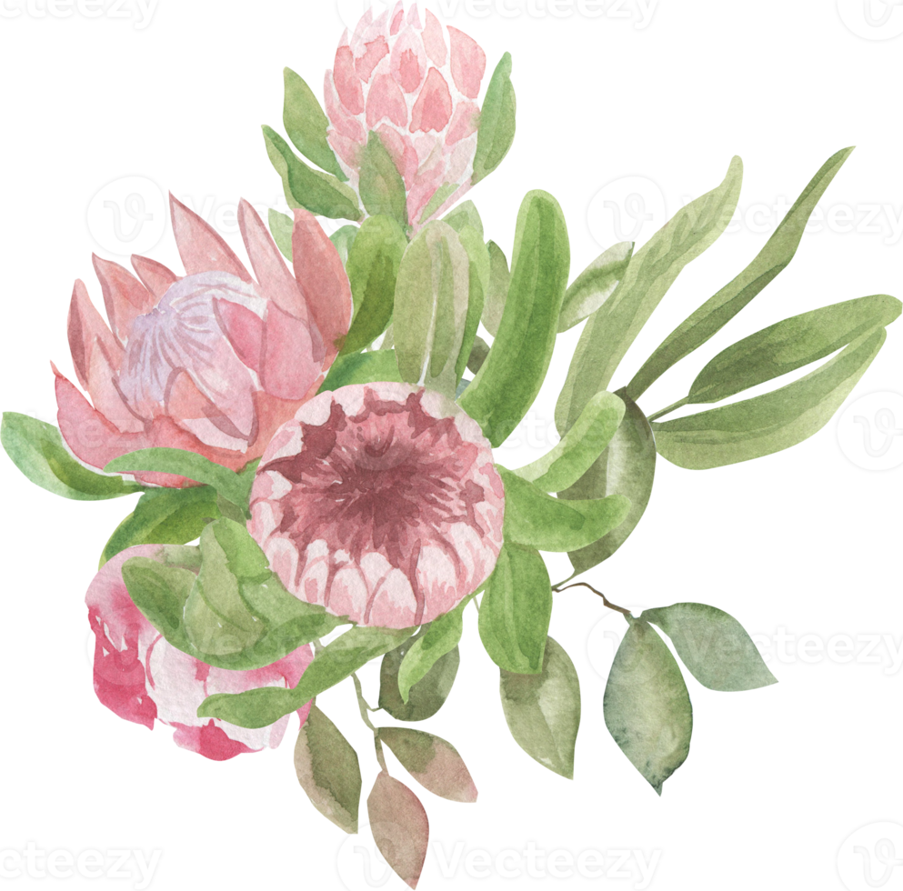 waterverf boeketten van bloemen en bladeren png