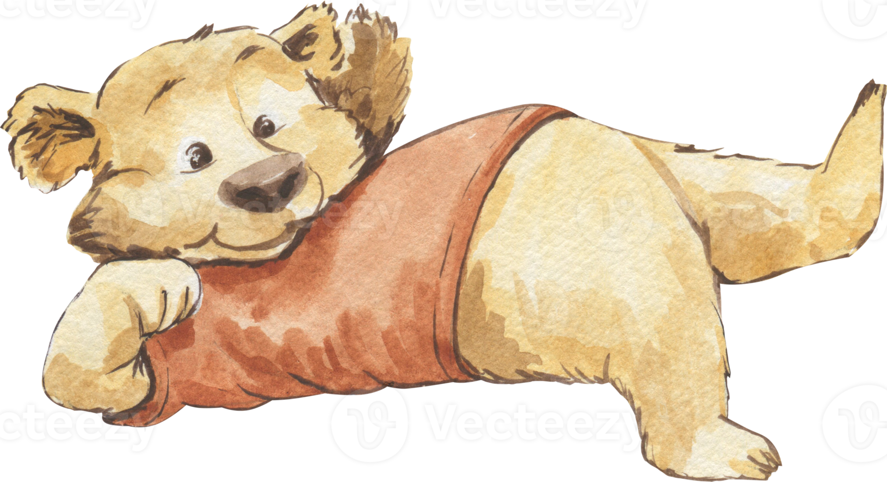 Watercolor drawing of a bear in a T-shirt funny lying on his back png