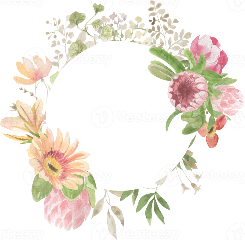 Round frame of watercolor leaves and flowers of protea png