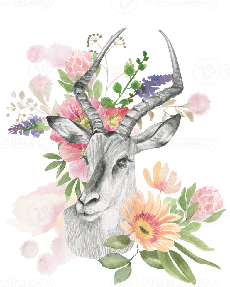 tête de une gazelle avec cornes encadré par fleurs png