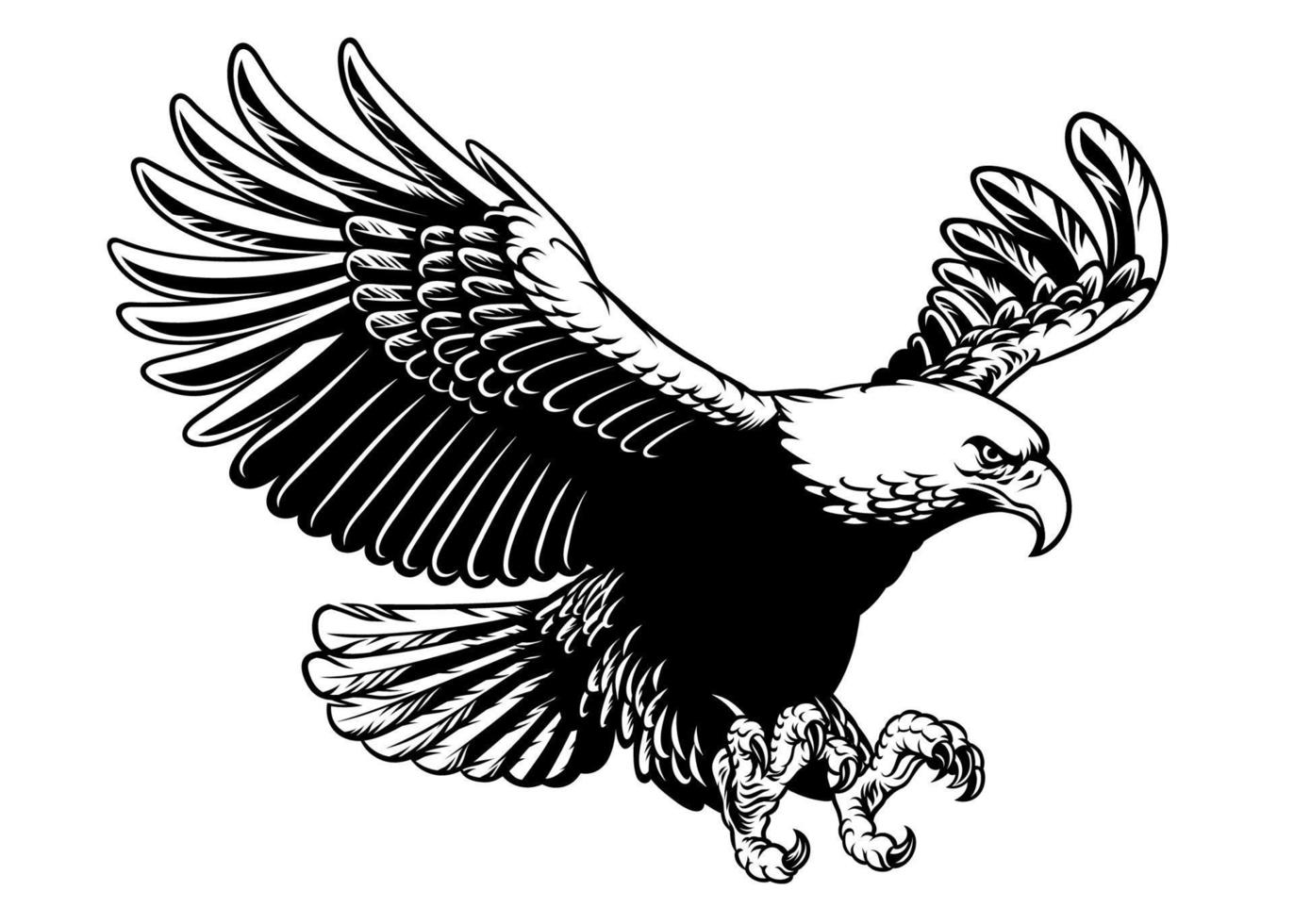 flying eagle spread the wings vector