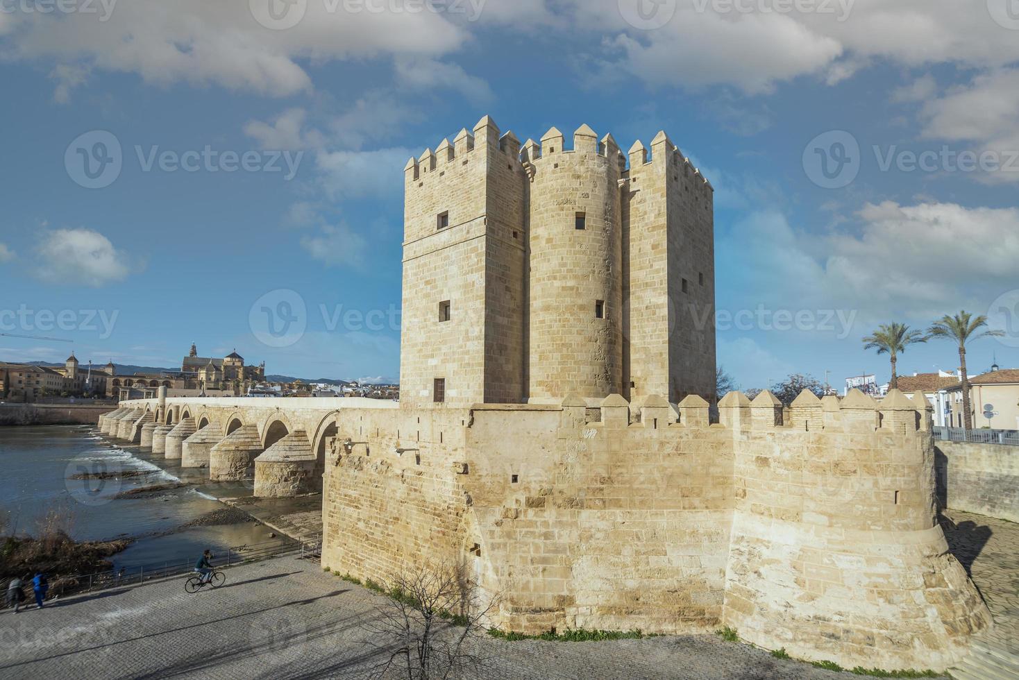 el mezquita cuales estaba construido cuando el ciudad de córdoba situado en el Andalucía región estaba debajo el regla de musulmanes es usado como un mezquita y un Iglesia hoy. foto