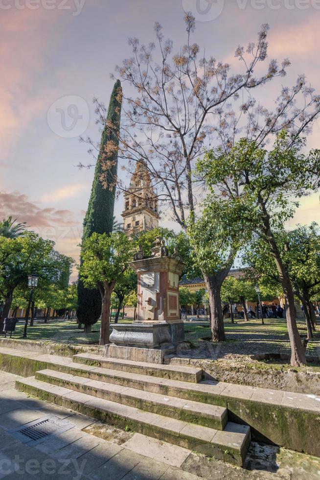 el mezquita cuales estaba construido cuando el ciudad de córdoba situado en el Andalucía región estaba debajo el regla de musulmanes es usado como un mezquita y un Iglesia hoy. foto