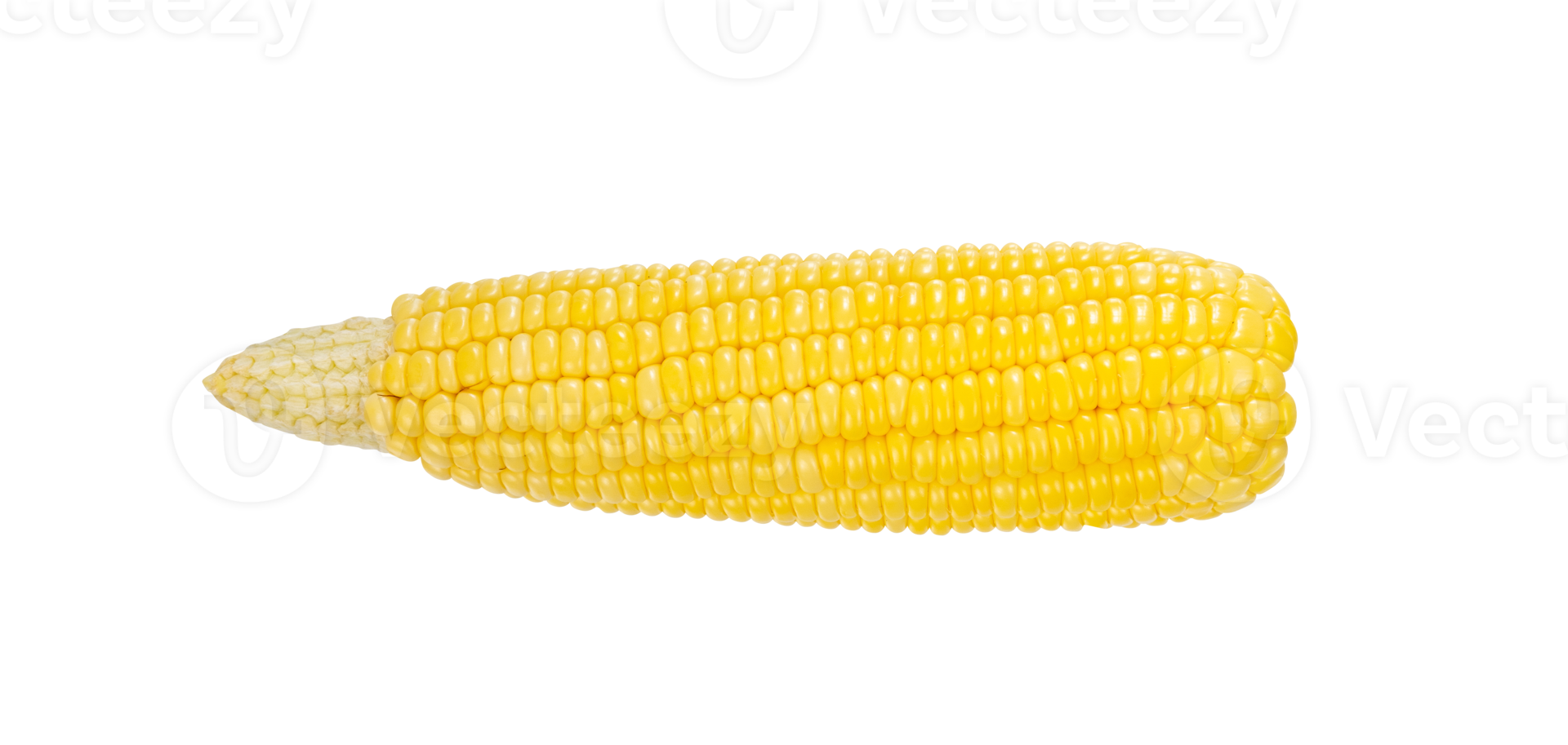 Fresh corn isolated for vegetable element png