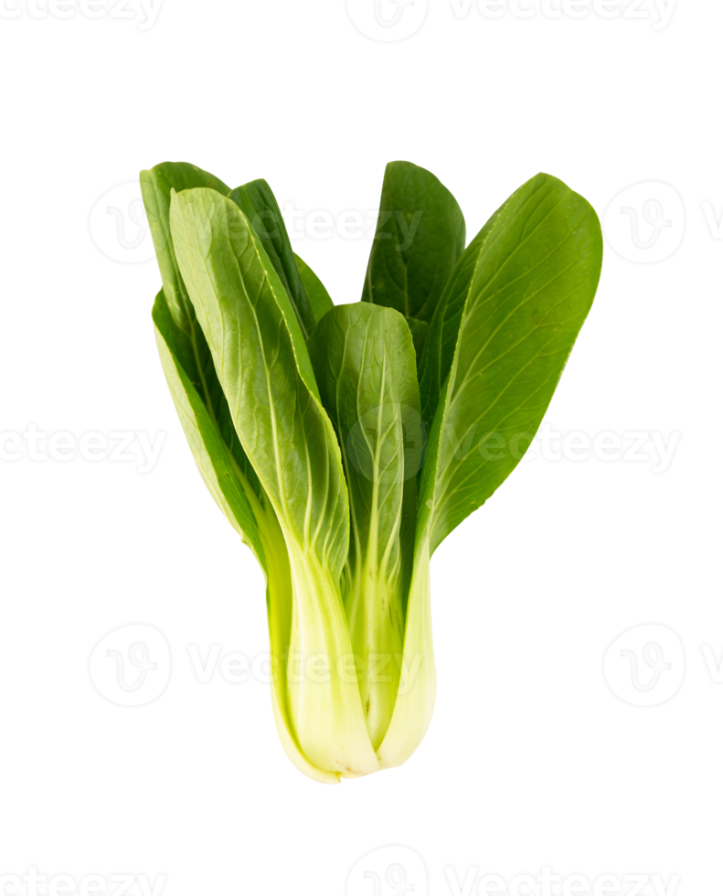 färsk senap grönt isolerat för vegetabiliska design element png