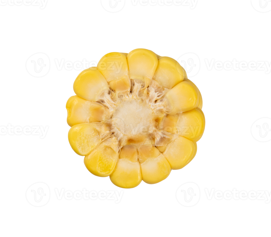 The slice of corn isolated png