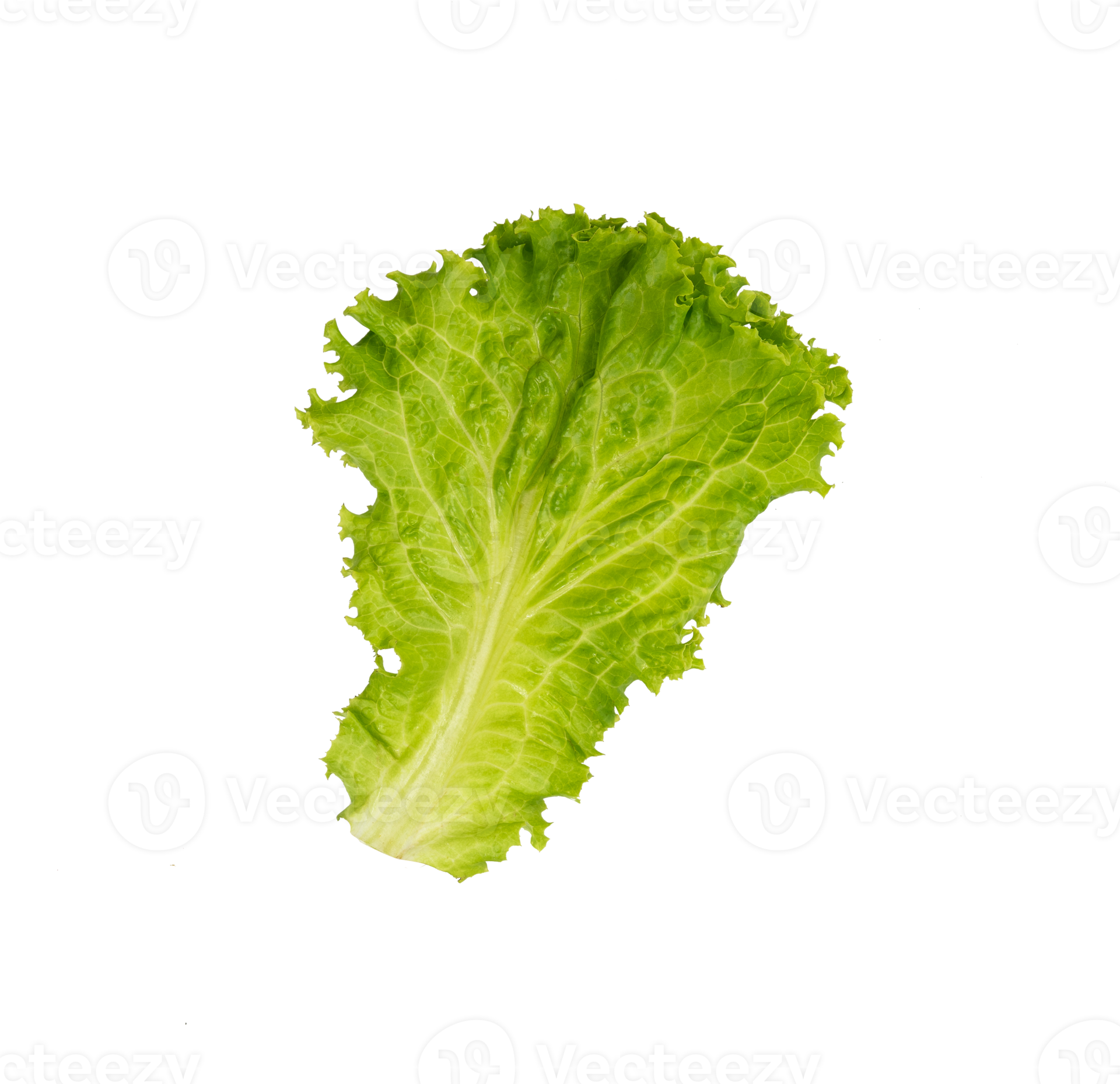 Fresh green lettuce leaf isolated 22453251 PNG
