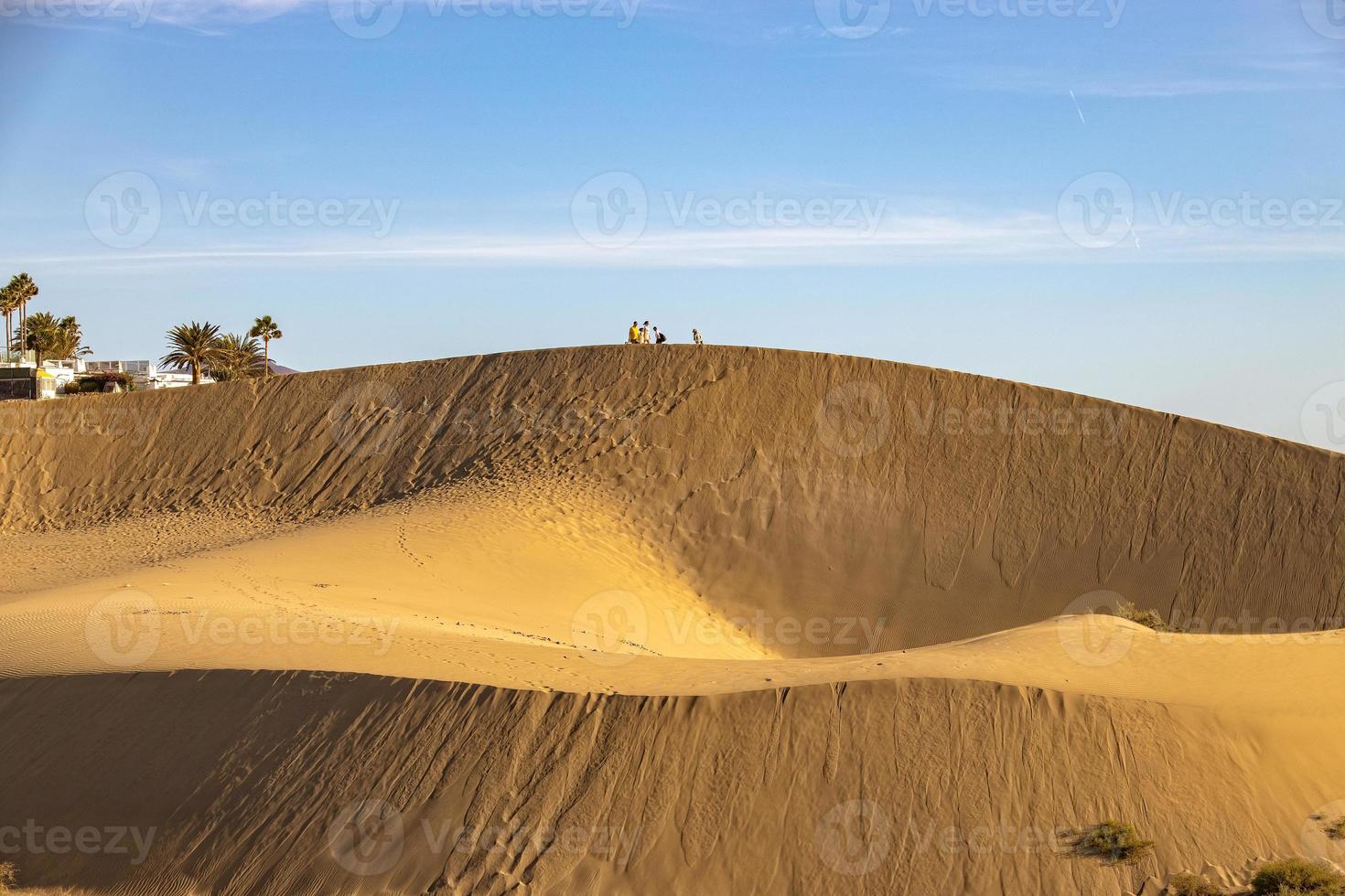 summer desert landscape on a warm sunny day from Maspalomas dunes on the Spanish island of Gran Canaria photo