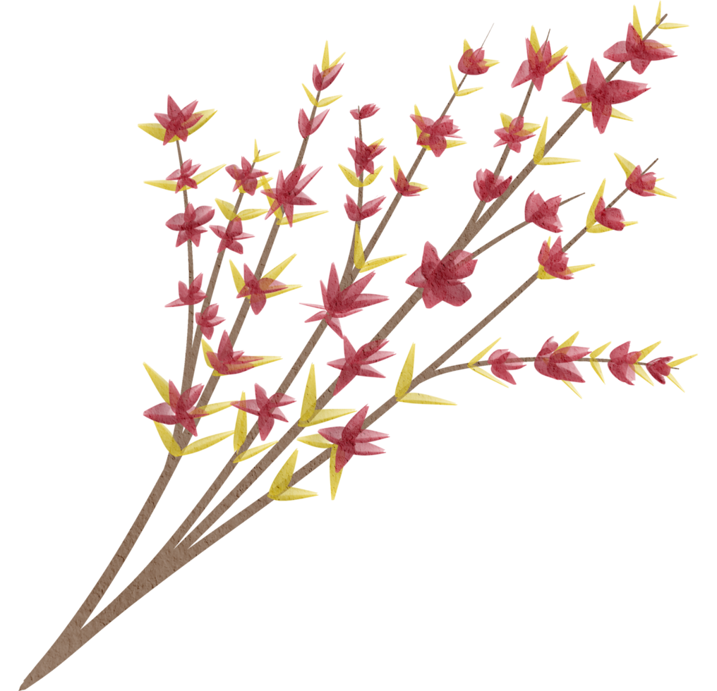 aquarelle feuille peindre png