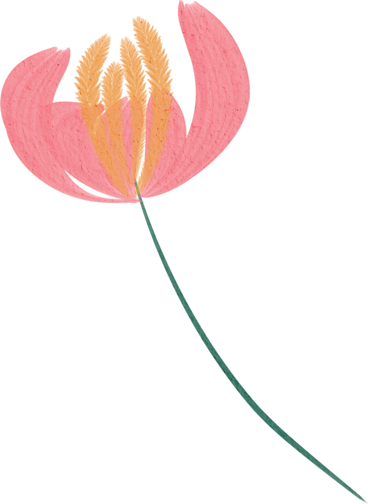 watercolor flower paint png