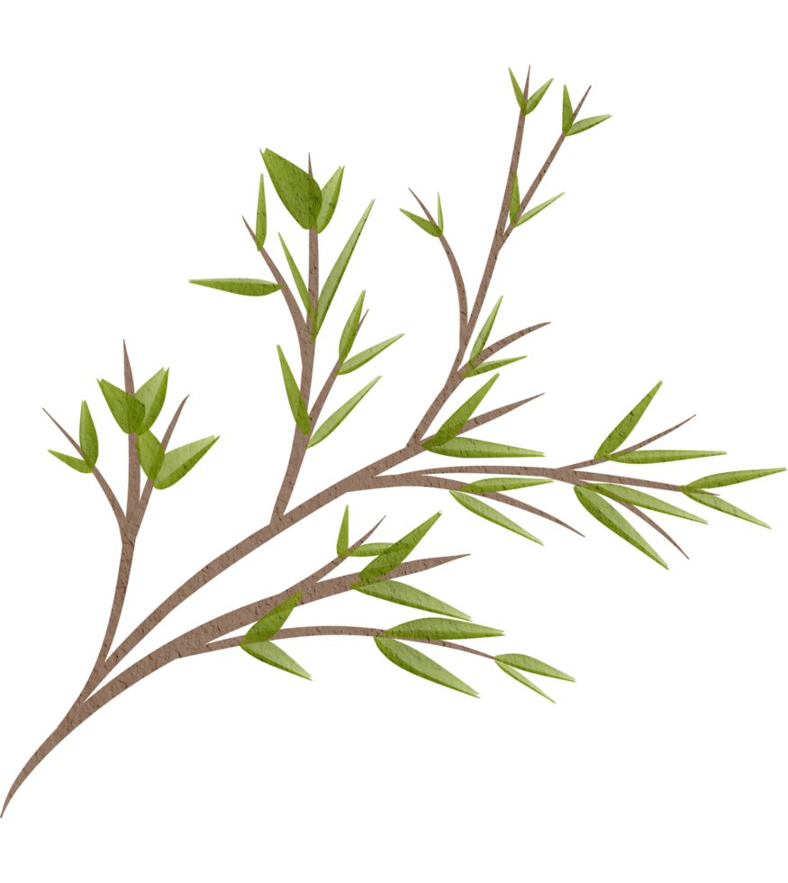 watercolor leaf paint png