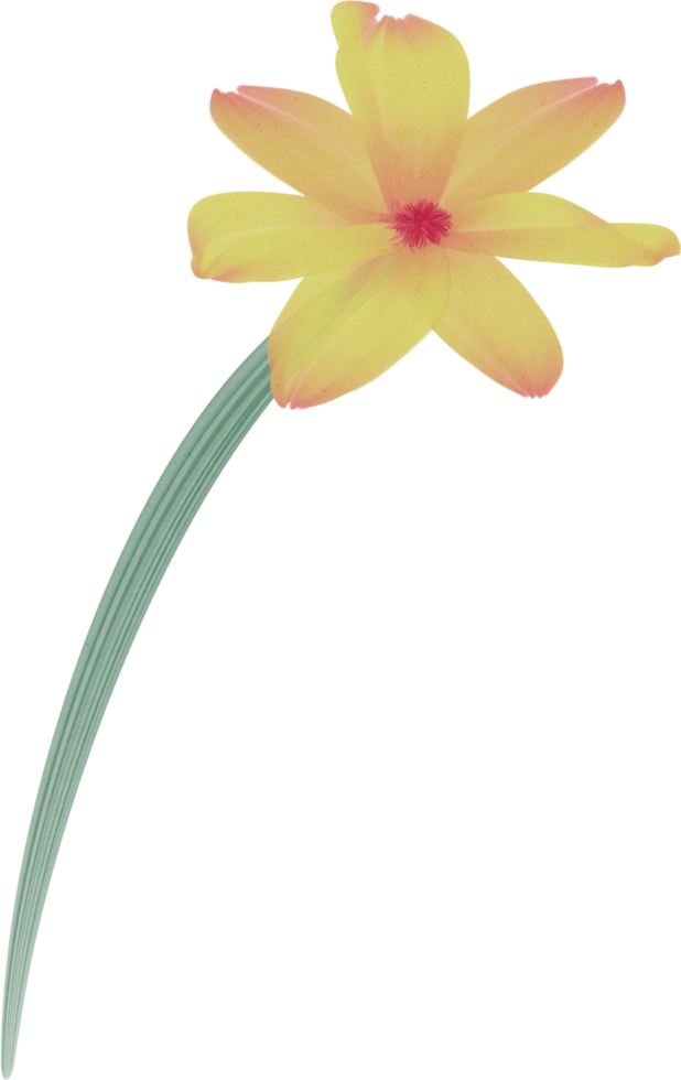 aquarelle fleur peindre png