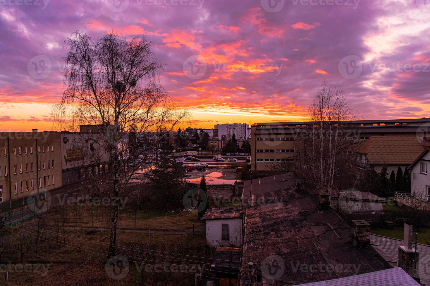 natural autumn background with sunset and red clouds and leafless birch photo