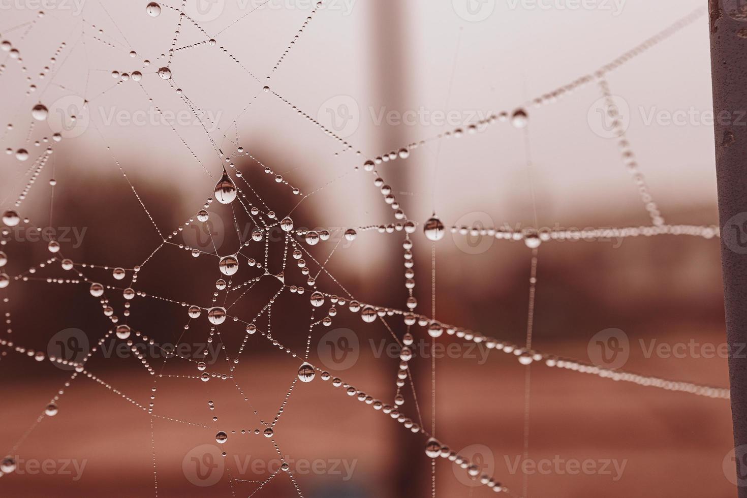 little soft water drops on a spider web on an autumn day close-up outdoors photo