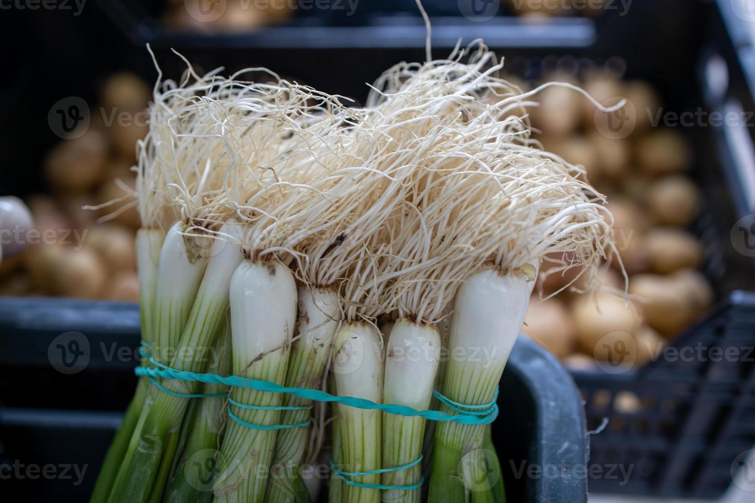 onion spring on the market stall photo