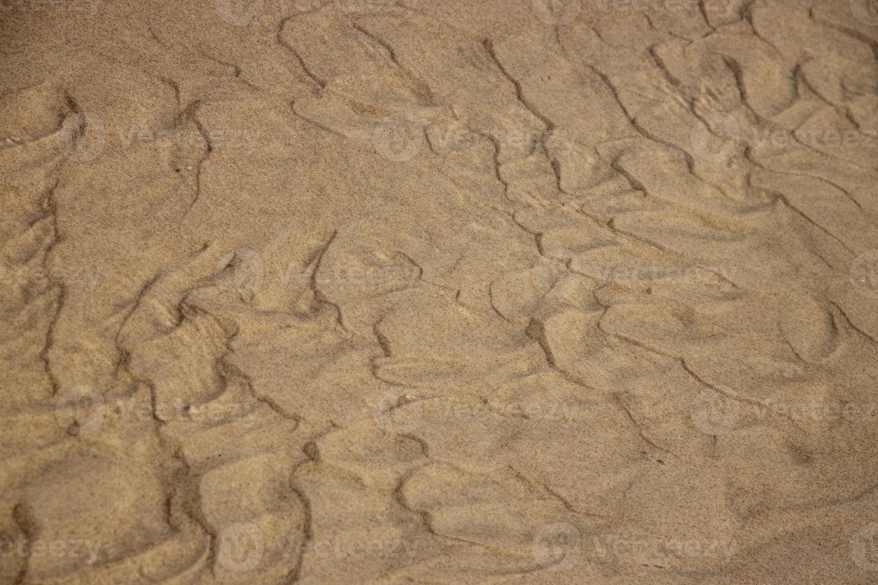 original background of golden sand on the beach 22454605 Stock Photo at
